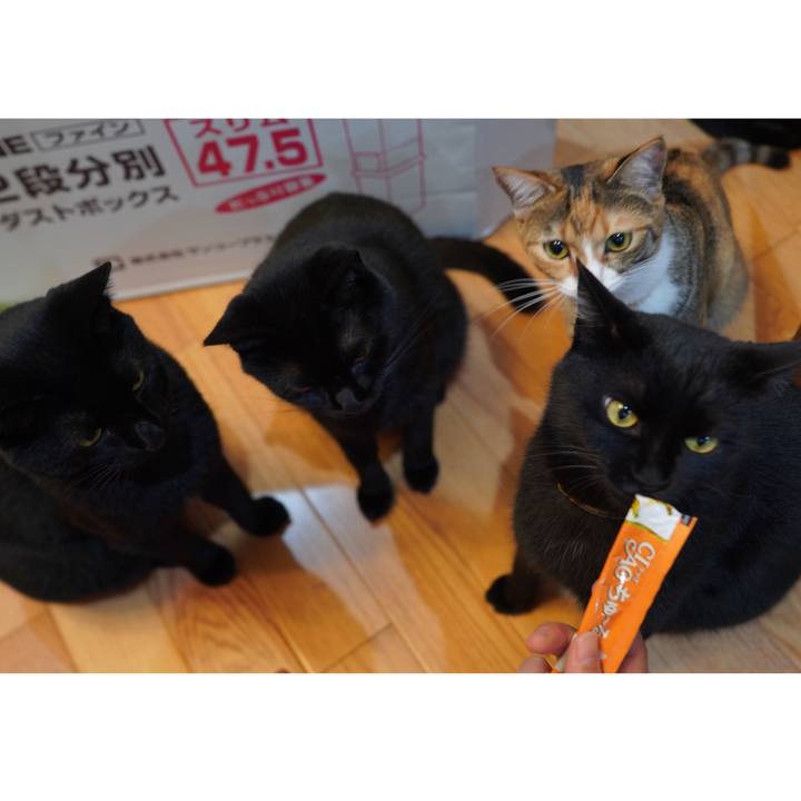 0155979b 5954 4c84 801e 08f120851c8d 1596591959917