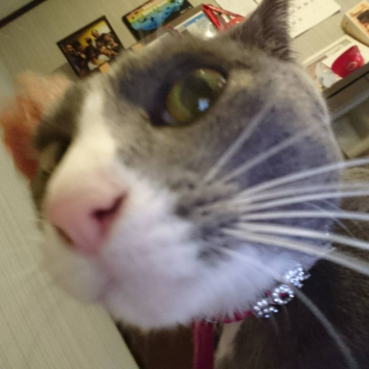 0155a802 8e92 47c4 a119 6e58daf1d611 1509069747959