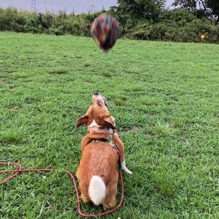 0155cb82 0195 49fe 8099 1051f7d74a7c 1757649117453