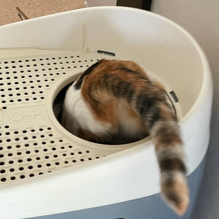 0155cc2c c80b 4c8f bc3b e037456aae01 1638074153455