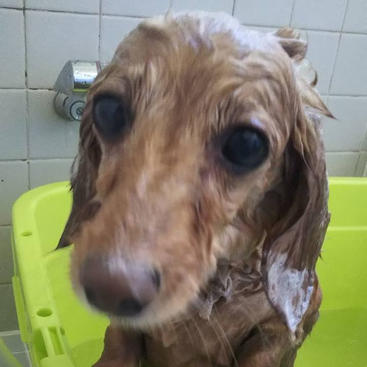 0155d813 e21c 4a65 8d66 d662d6560f02 1577499977998