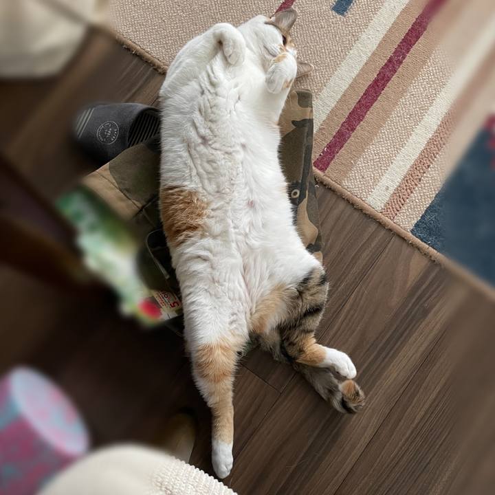 0155df22 d0ad 4f77 b2c6 fe4cf8eecca1 1653901815886