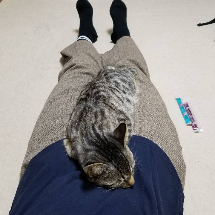 0155f0b8 ecd8 4416 bf0d bda73f9d147e 1673878499327