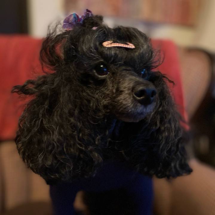 0155fde4 dd58 4815 b84e 7c22709e89b7 1663634153791