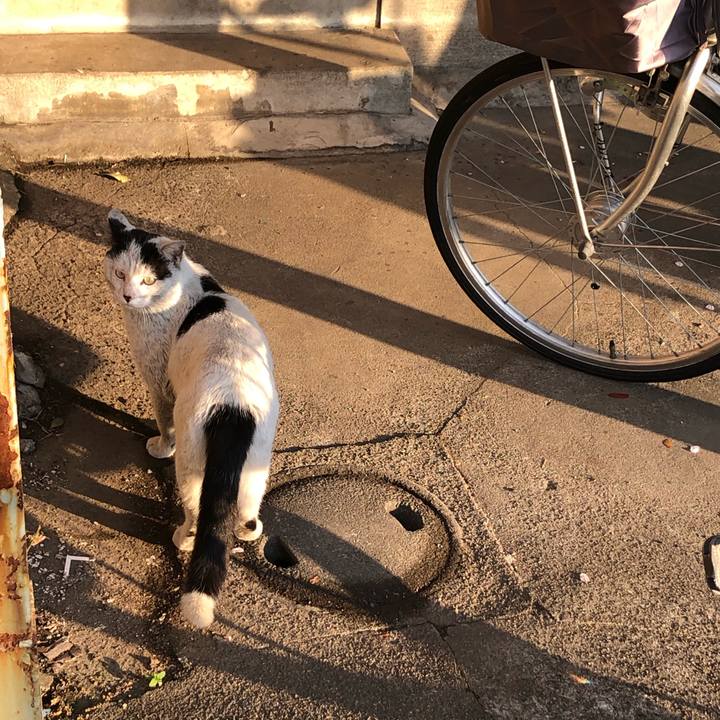 015601e6 ca35 4ce7 8000 fb587245d9cc 1585410190829