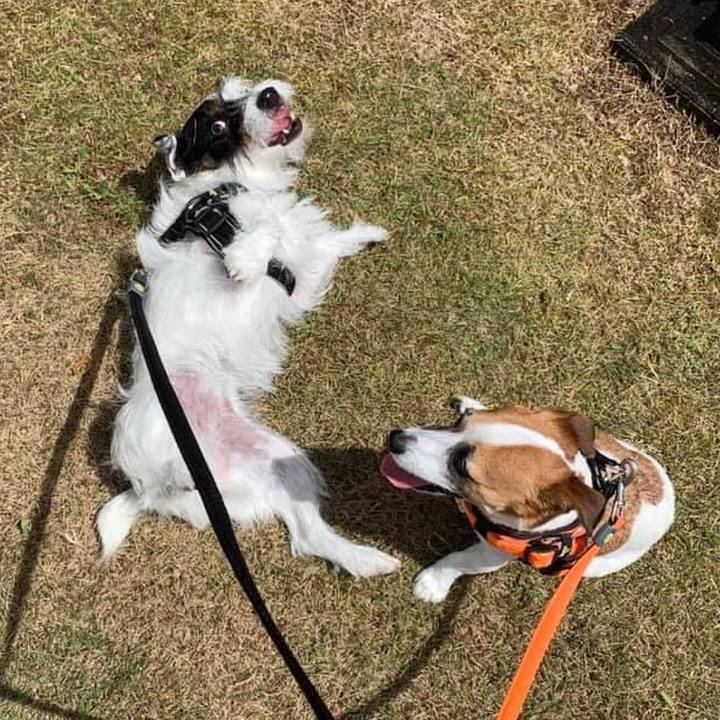 01561166 78f9 44ca b937 de80e76d995f 1691928350196