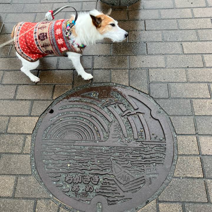 0156213e 13c0 451c b464 aca2ac523dd6 1671146677727