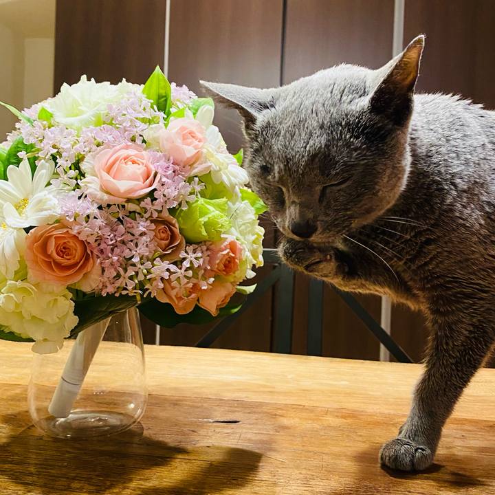 015634da f8d4 437c 8011 91f1195094a2 1616847902504