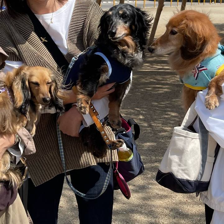 01563a59 8be4 456c b95b b6332defece7 1685710341116