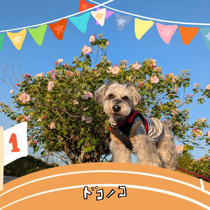 01565116 ebb9 4ef6 b014 baba9047a3a9 1761144806682