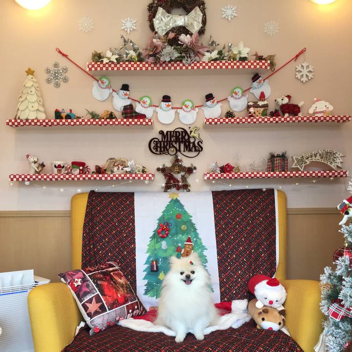 01565e78 a665 4e81 a953 9f9b4047de42 1607780914772