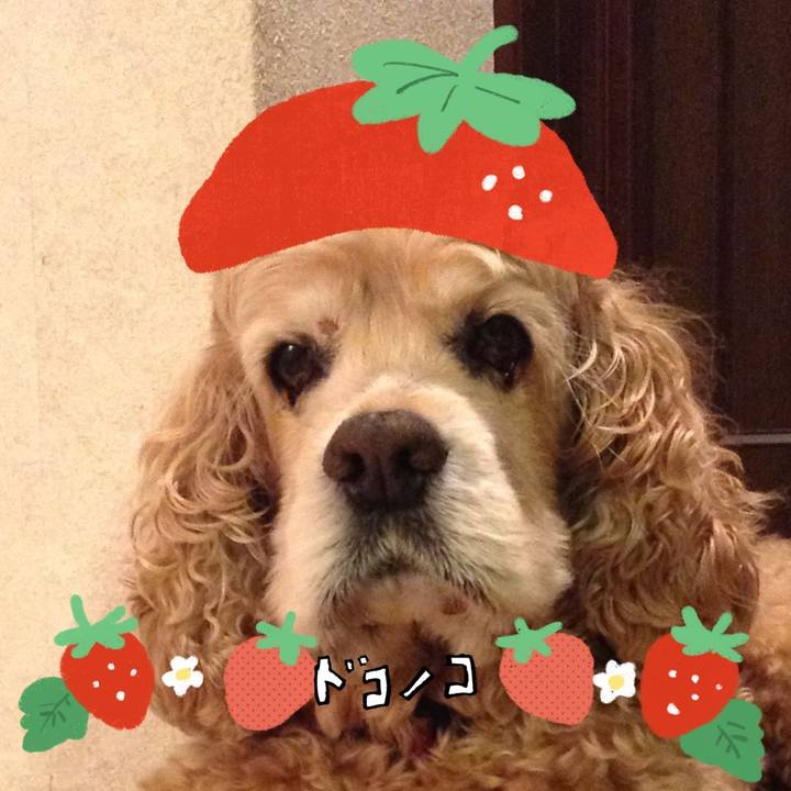 0156600b b60d 403b b42c 6ba643b9aff4 1775439851018