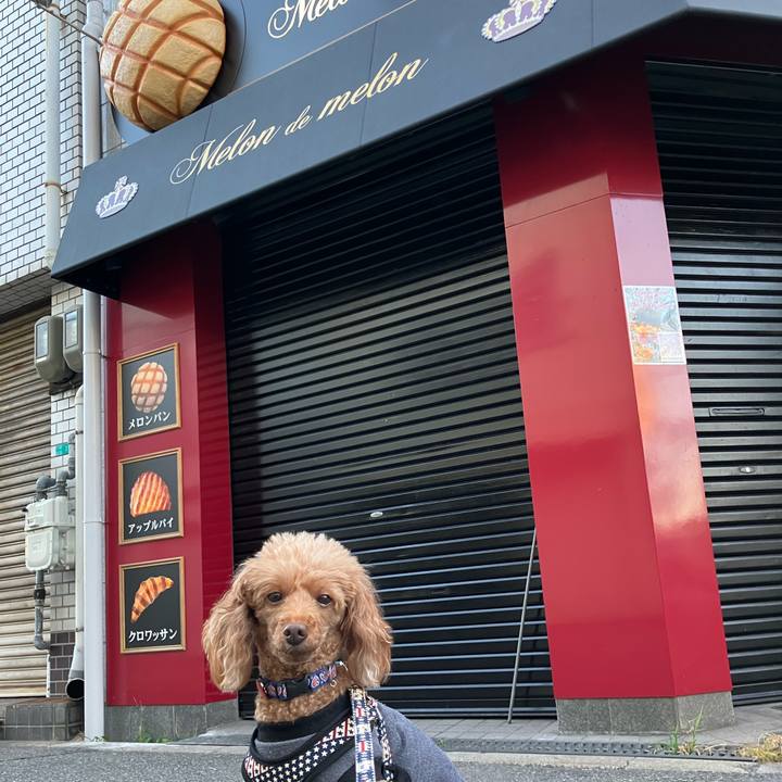 015663a9 513d 4c6d 94a9 b29147c0f5d9 1666741814284