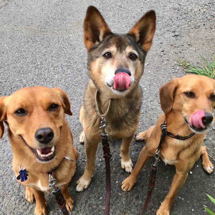 0156a1bc 57c2 4ef9 93df 84c22f156fef 1528937707089