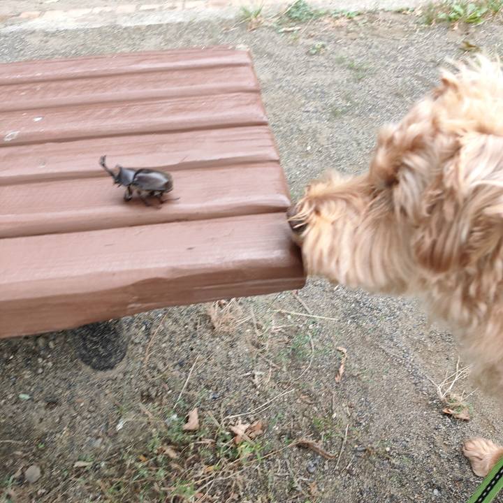 0156e6d0 d853 42a9 bb8f bb539fcfca37 1599262246931