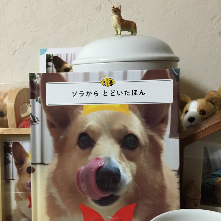 0156fa63 d540 4d80 a312 eaad8f39d786 1508576634867