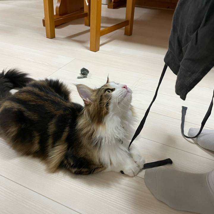 015742d6 c096 4000 802e 479694af290e 1641982749691