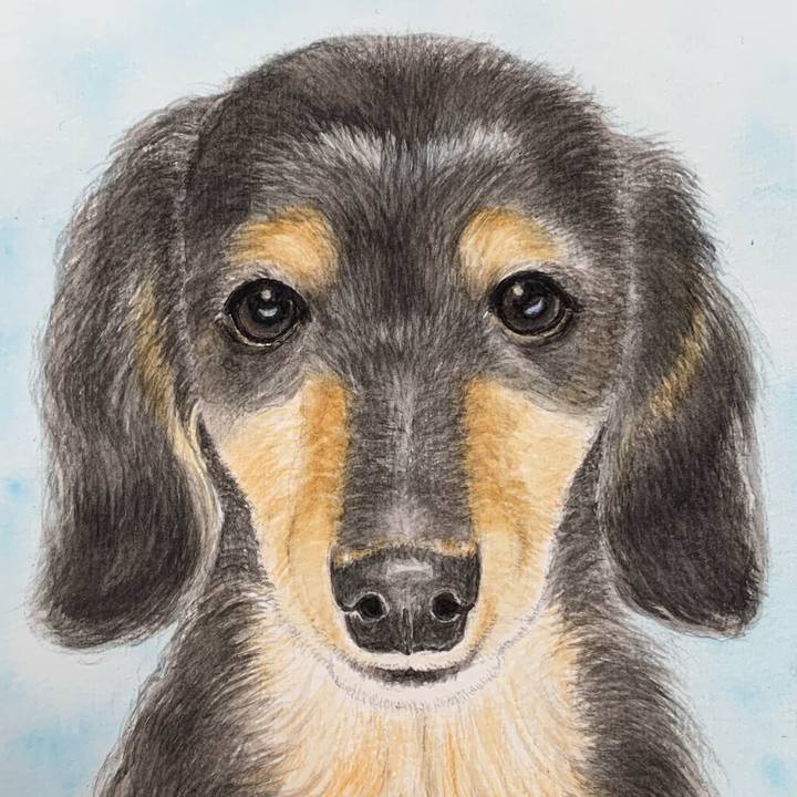 01574fd1 22c5 49a7 b8a2 3df404c48ae8 1686382509614