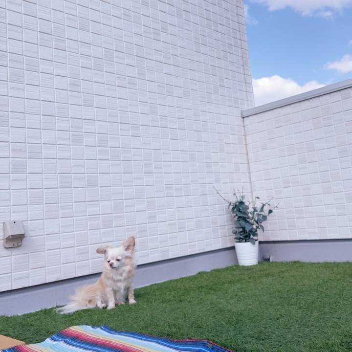 01576c29 a631 4fdd a26d ec85ea05ef45 1742472762754