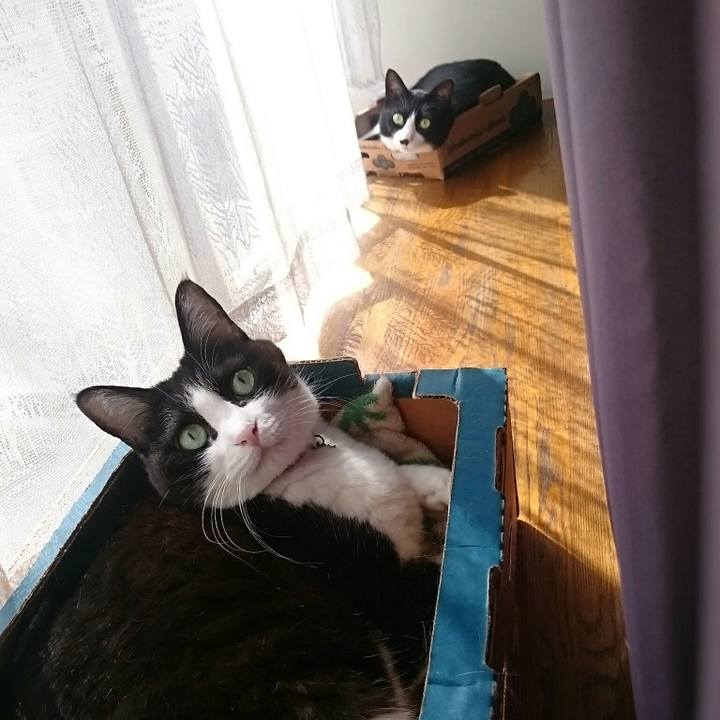 015784fd 3aa0 4f16 99e4 ceb32347e7f4 1560051170293