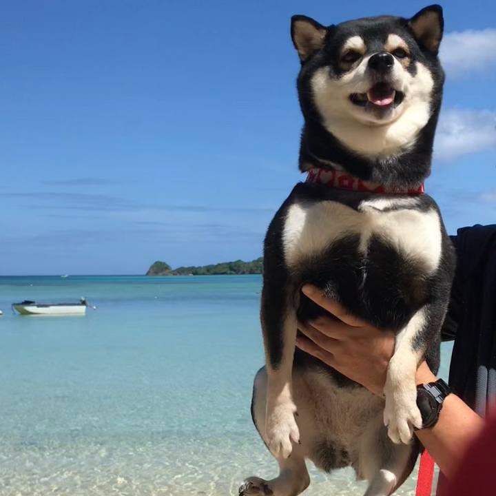 01578a64 7bb6 498b a480 4759f7058981 1524453224988