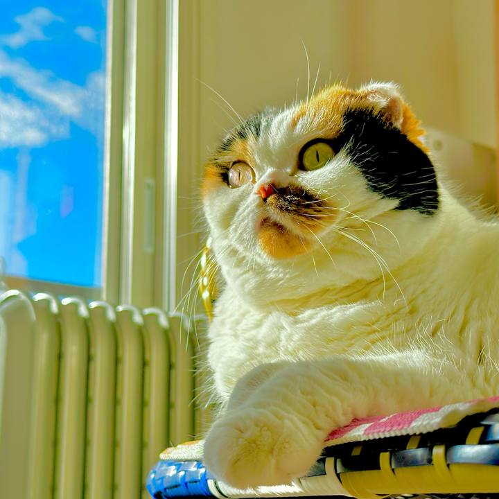 01578e6f 72f9 4816 b44a 11035ee6ec1b 1669559154785