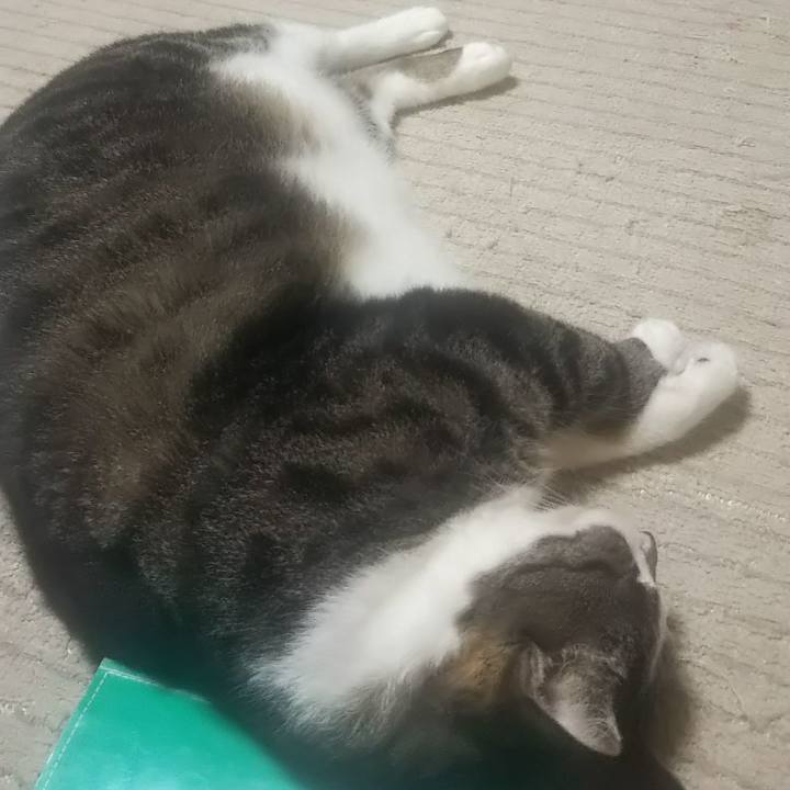 0157aa3f b123 4446 b476 a782a6a2e887 1625233420492