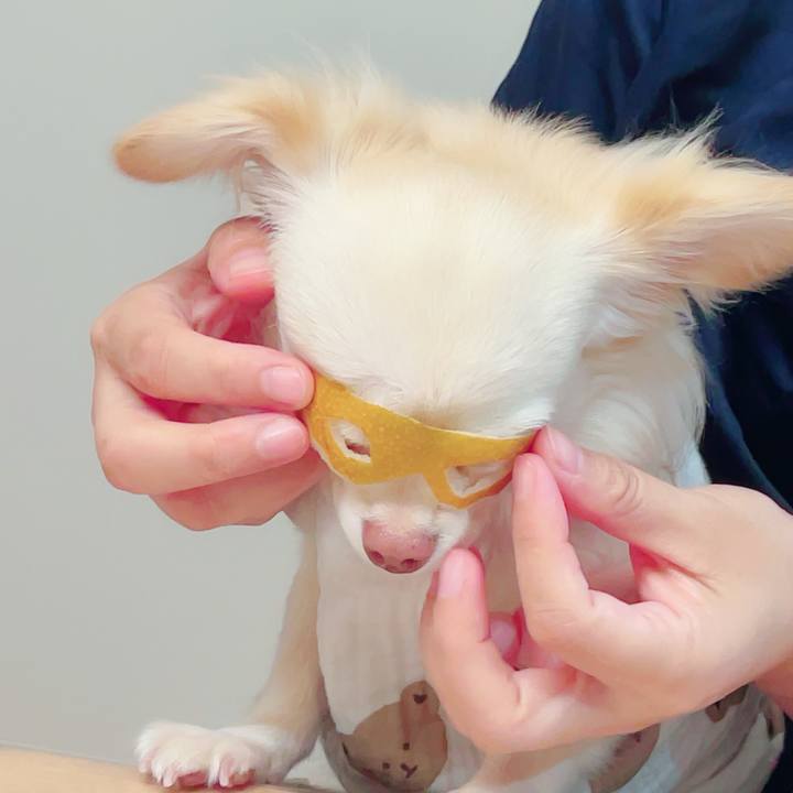 0157ae3e c56d 434d 818f 91f016be723e 1693656842866