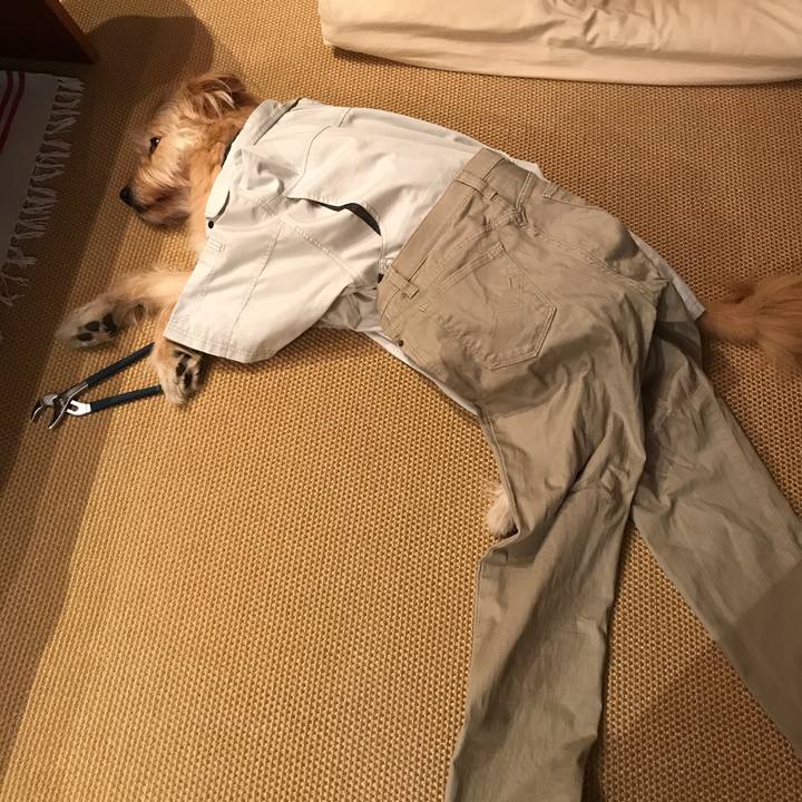 0157bd3c 0ca3 4dcf 9fc1 d8e8cc2e566e 1535591440017