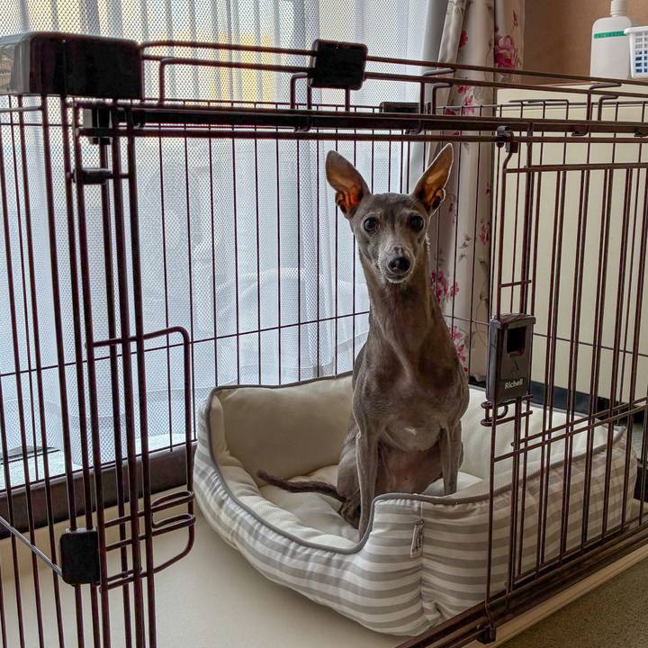 0157f2ec dfd7 4267 b368 f497b4125792 1763721591825