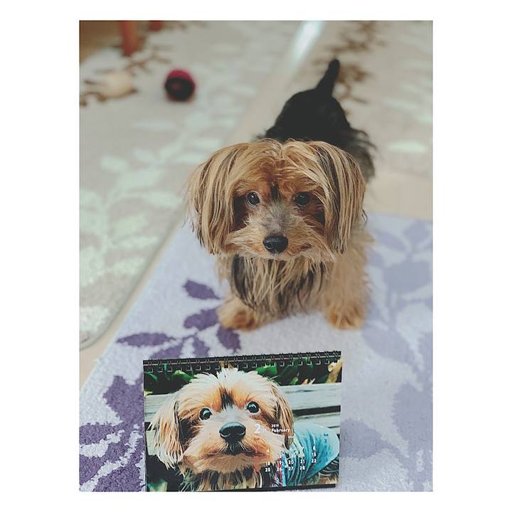 01581f7f 296a 4cbd b374 bc522165dba4 1548973758395