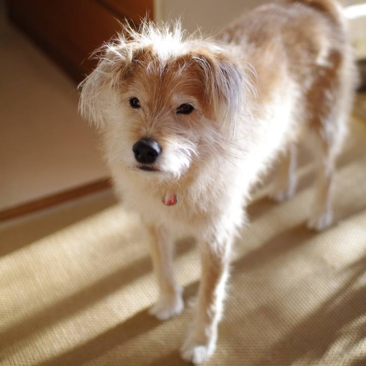 0158265f 284b 4ffb 9bbe a40f13857479 1611110580646