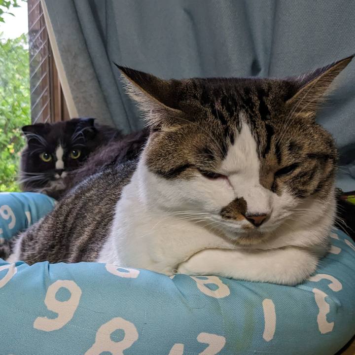 01582796 a6a0 4eef 9f98 7c1c3c232064 1691441193268