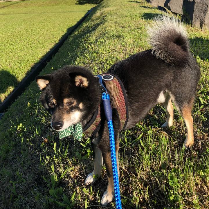 01584451 8683 449d 82b4 64b5bdabea99 1529012483084