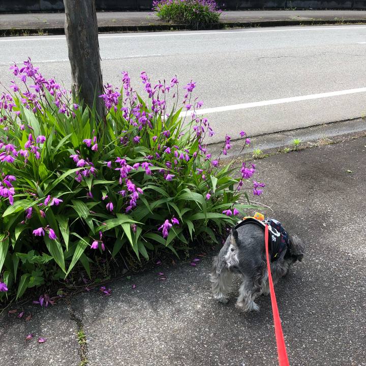 015855e5 767e 4528 87b1 310b2e23c437 1621649421985