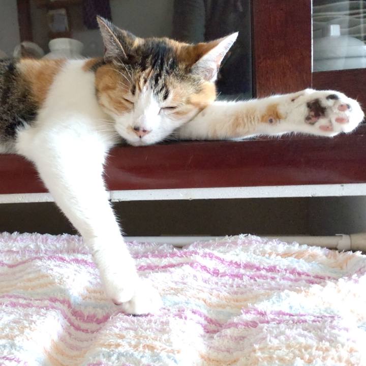 015873b0 403a 4100 85ce e629cdb4cbc2 1651278034266