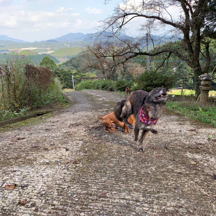 0158bee3 4335 49ee 91f2 cf17d8d1db96 1572176553522