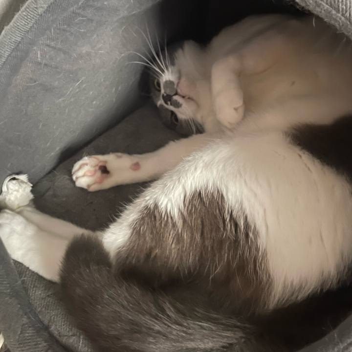 0158bee3 9dad 4c67 af8e 1ca3658258fb 1668580607364