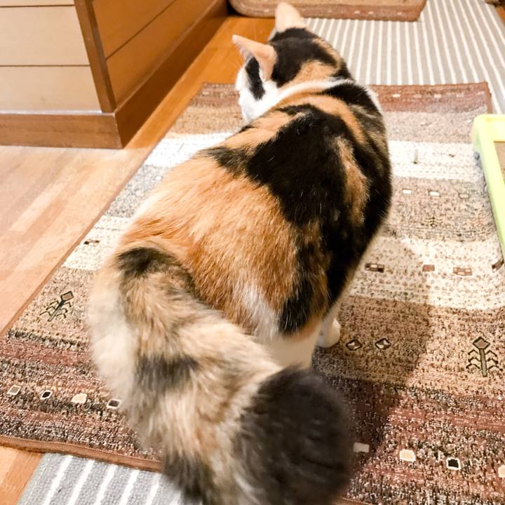 0158c1f2 fe77 42cf 9212 38317d19e728 1527517692761