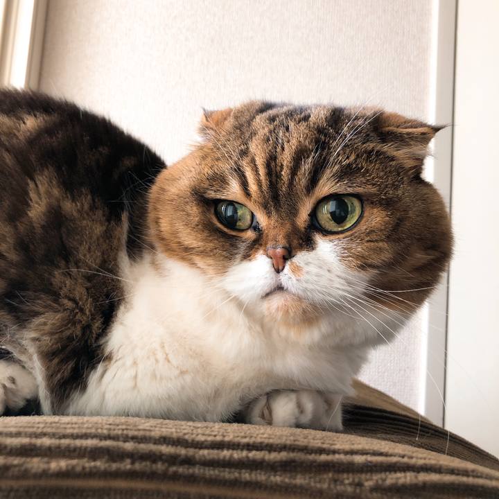 0158fa0c 0855 45c7 b544 58fc48cc62d3 1552711732441