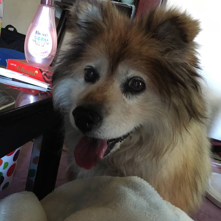 01594333 5993 401e bc2a d2b4d5694139 1559442053107