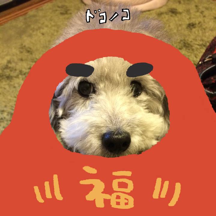 01595abd ae9f 45a1 800e c6ea01b41f0a 1771892863155