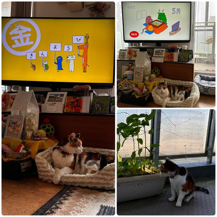 01596694 3089 437b b359 a5af8cad7cc2 1717106593830