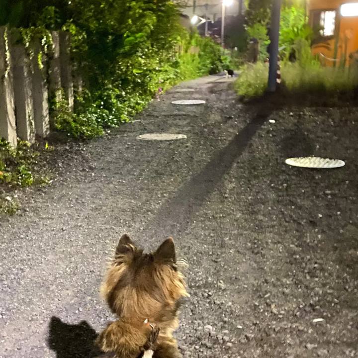 01597841 75f0 4985 8f3c c65159ced513 1759142873638