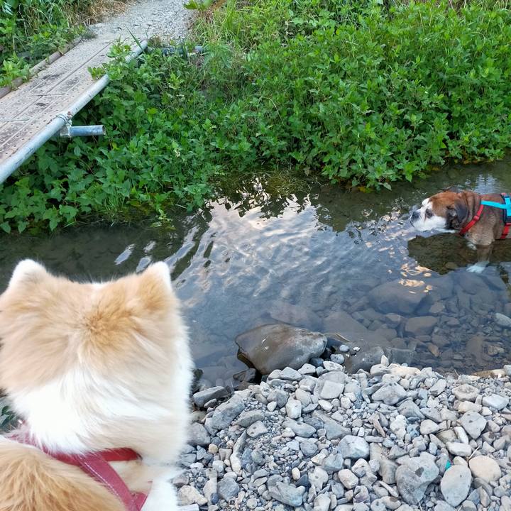 01597c54 d5b5 410d b297 7ca89754ab8f 1691067143156