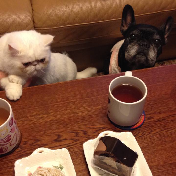 01598eb6 21d7 40a3 95d4 82a49242e31e 1553852730423