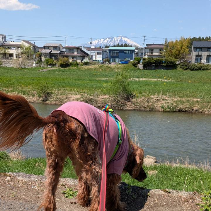 01598f6e fc50 4a6f afc5 10c441549305 1777028095613