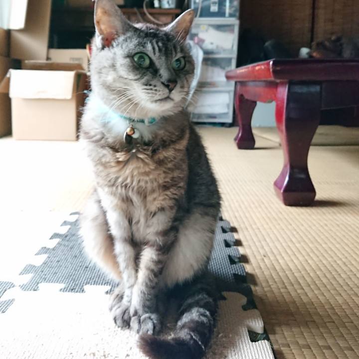 0159a774 5096 4de7 813b d72d7a9a3d3d 1567386293896