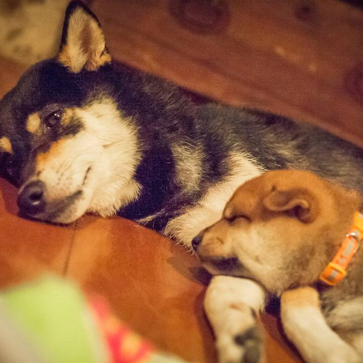 0159cfd4 d9e7 4349 bac7 ce67b24d33ff 1627486038734