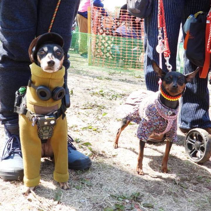 015a0289 d5af 4b6e bc99 0d761f119aa5 1774162188309